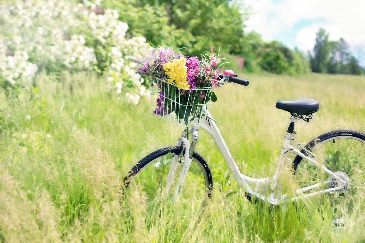 sommarcykel